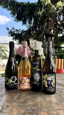   BOX VINI BIANCHI ESTATE 2025 